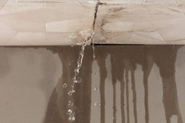 Professional Structural Drying technician working in Newbury, NH